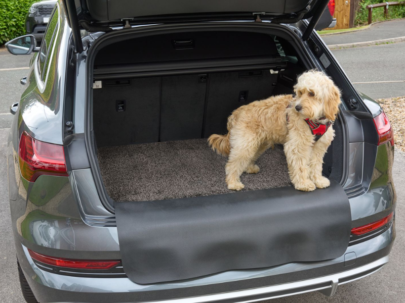 שטיח פרימיום מגן לרכב