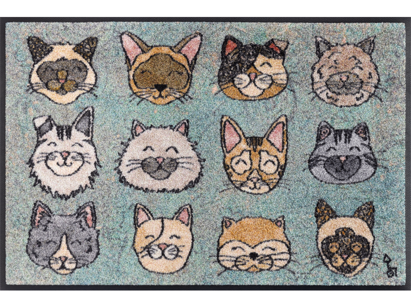 שטיח דגם חתלתולים